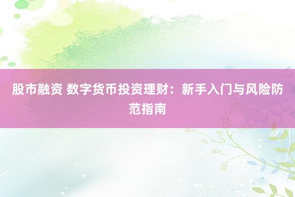 股市融资 数字货币投资理财：新手入门与风险防范指南