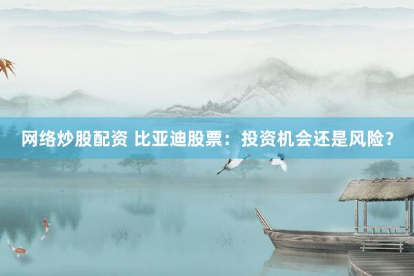 网络炒股配资 比亚迪股票：投资机会还是风险？