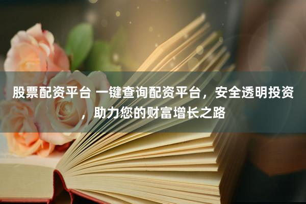 股票配资平台 一键查询配资平台，安全透明投资，助力您的财富增长之路