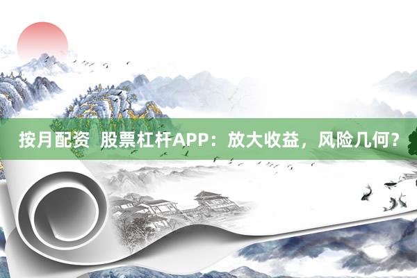 按月配资  股票杠杆APP：放大收益，风险几何？