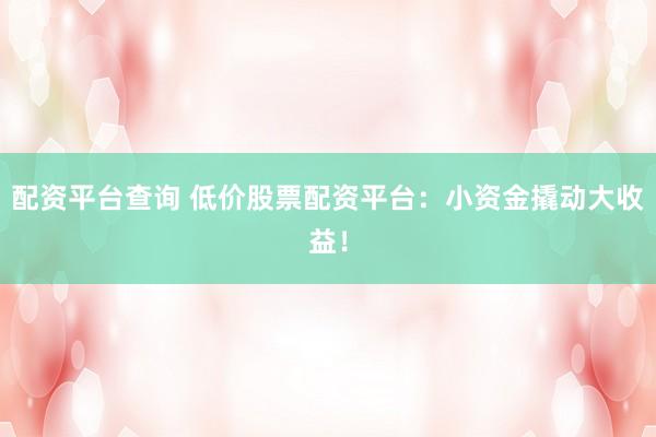 配资平台查询 低价股票配资平台：小资金撬动大收益！
