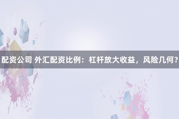 配资公司 外汇配资比例：杠杆放大收益，风险几何？