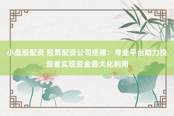 小盘股配资 股票配资公司搭建：专业平台助力投资者实现资金最大化利用
