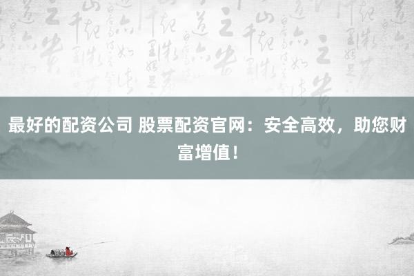 最好的配资公司 股票配资官网：安全高效，助您财富增值！