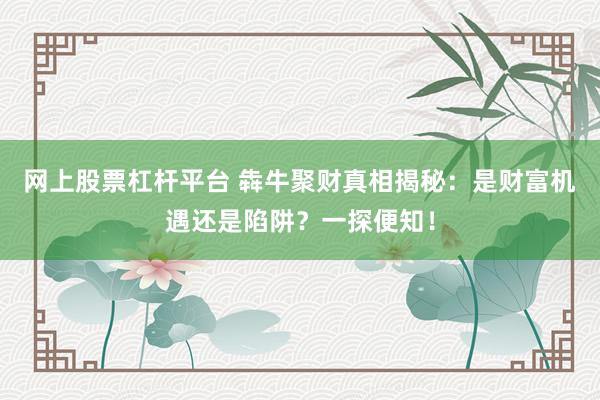 网上股票杠杆平台 犇牛聚财真相揭秘:是财富机遇还是陷阱?一探便知!