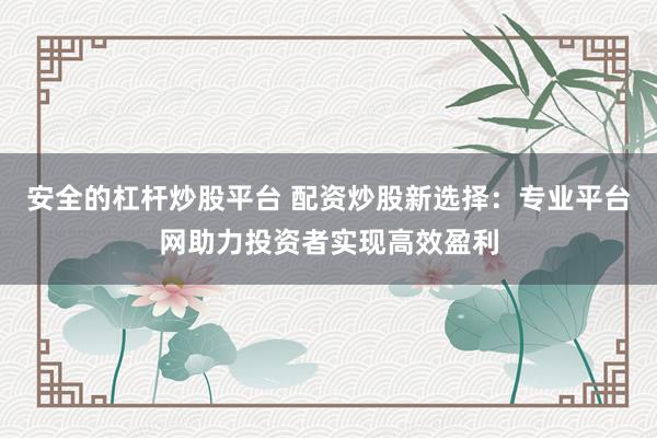 安全的杠杆炒股平台 配资炒股新选择:专业平台网助力投资者实现高效盈利