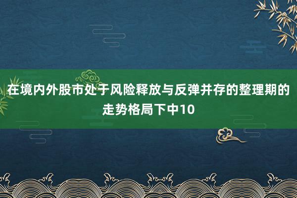 在境内外股市处于风险释放与反弹并存的整理期的走势格局下中10