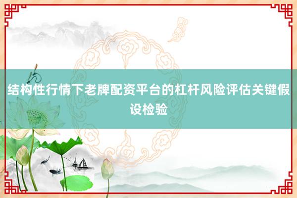结构性行情下老牌配资平台的杠杆风险评估关键假设检验