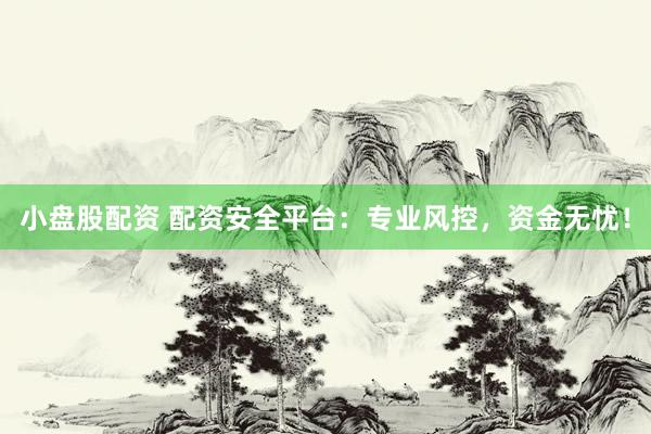 小盘股配资 配资安全平台：专业风控，资金无忧！